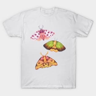 Moth Illustration Cottagecore T-Shirt